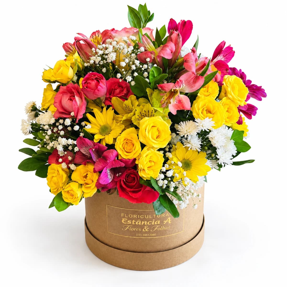 Box Amizade que Floresce