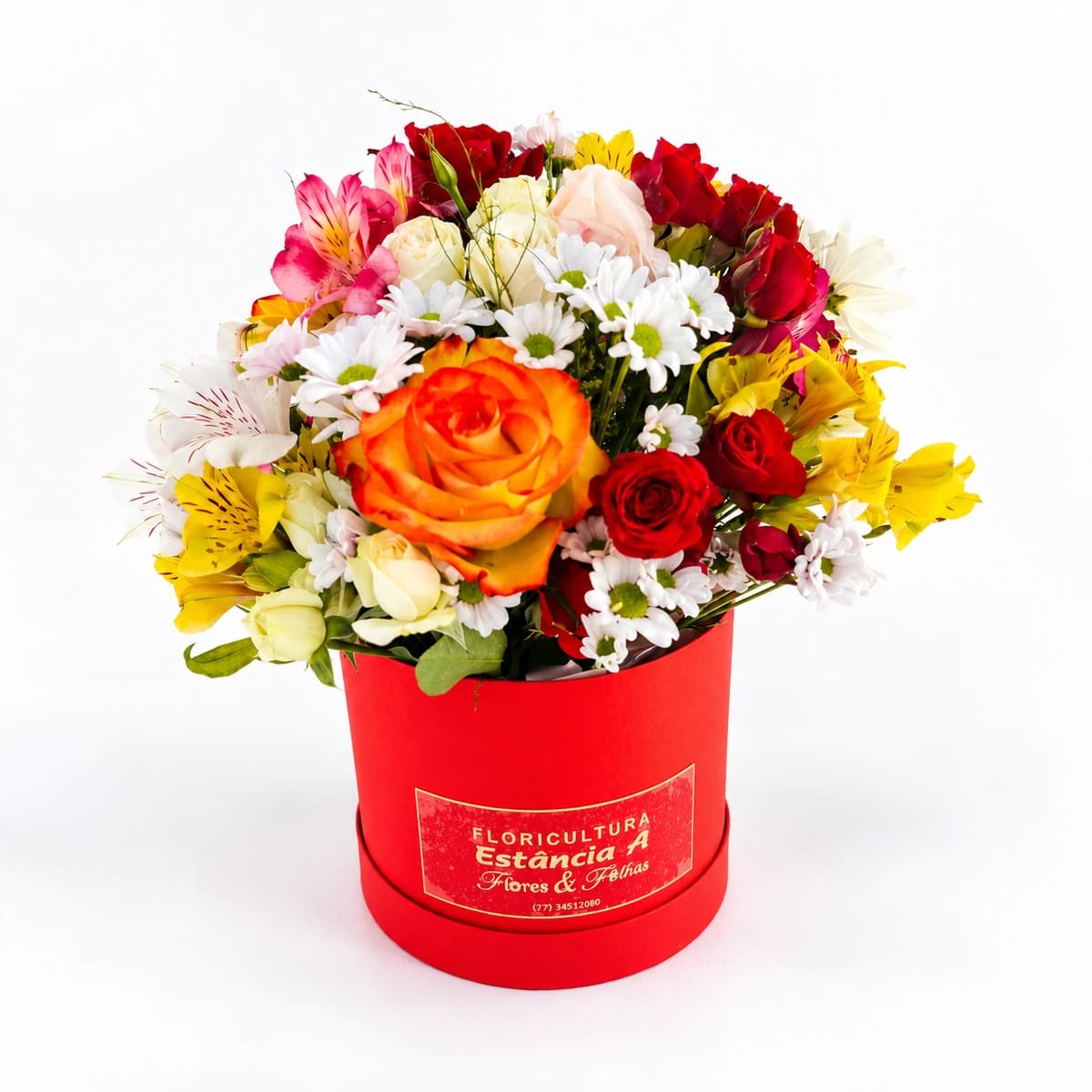 Box Florido Elo