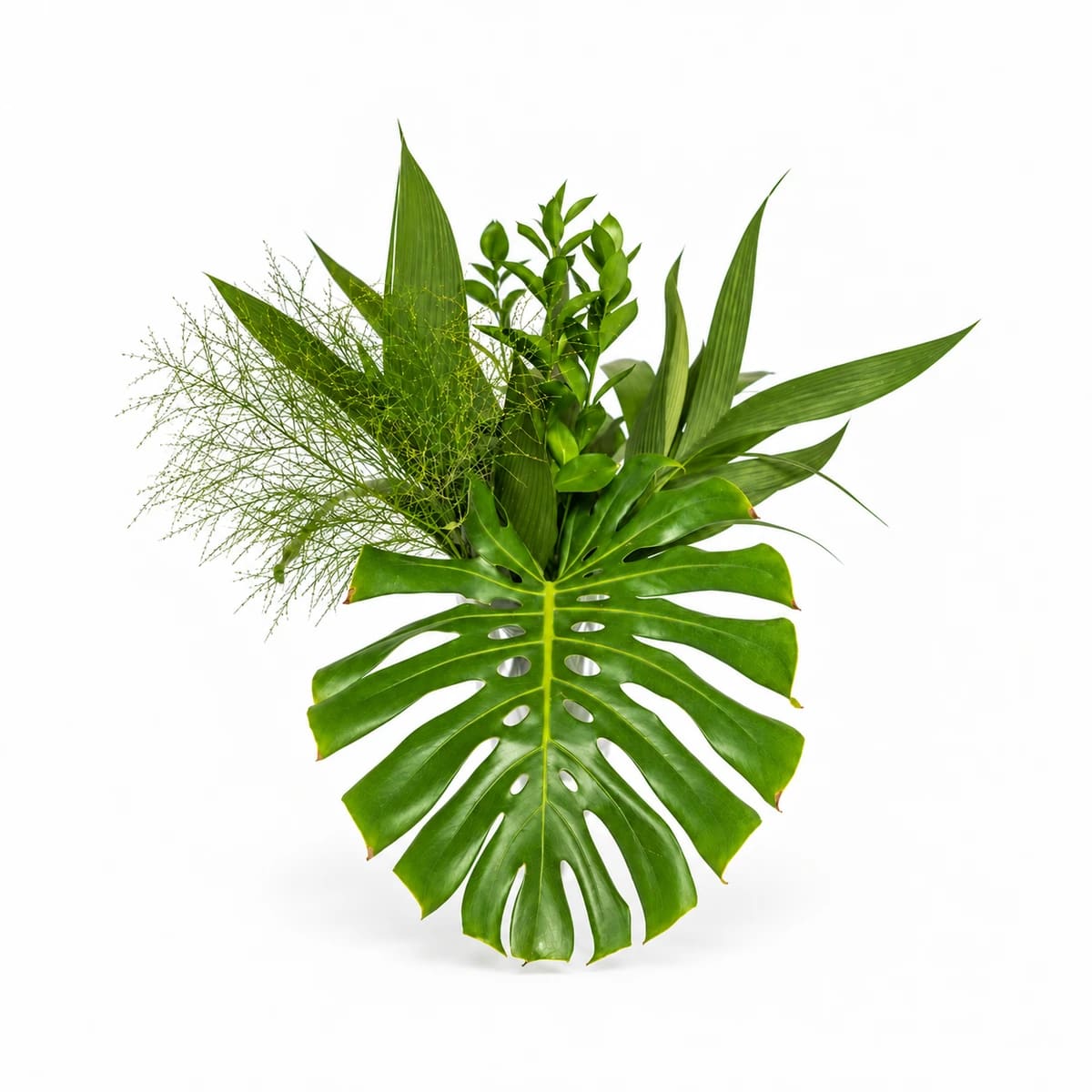 Arranjo Verde