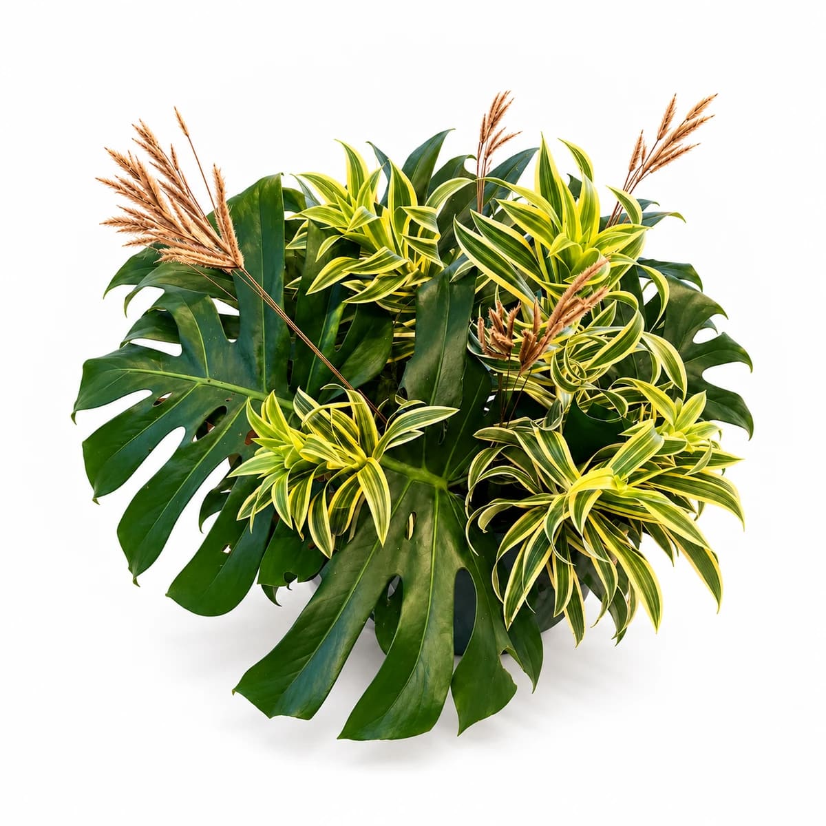 Arranjo Harmonia Verde
